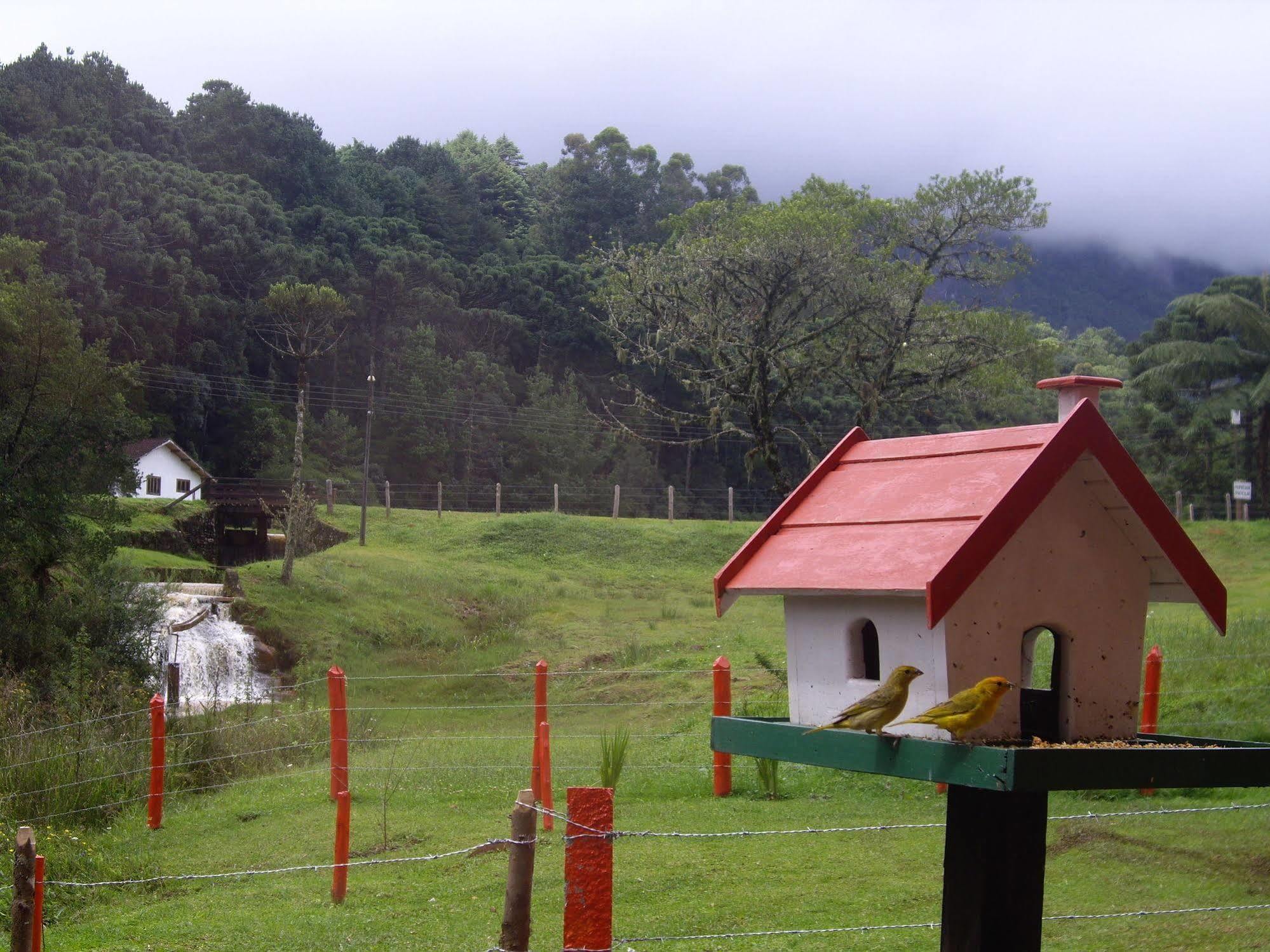 Guest house Alas De La Sierra 3*