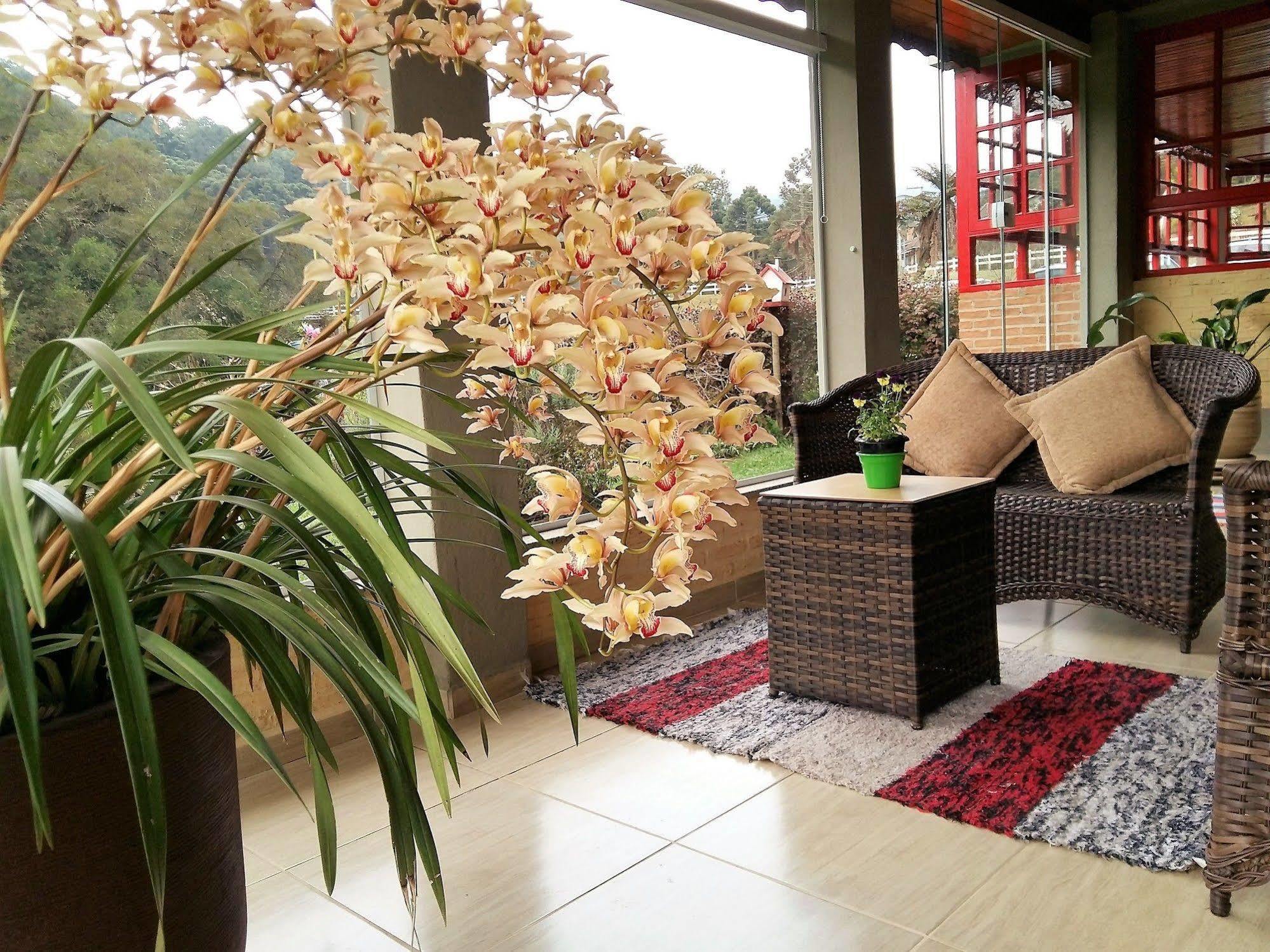 Guest house Alas De La Sierra Monte Verde (Minas Gerais)